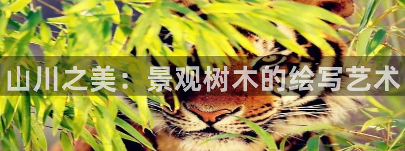 SKY娱乐卧龙招商60447:山川之美:景观树木的绘写艺术