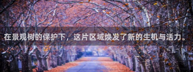 卧龙娱乐网址:在景观树的保护下,这片区域焕发了新的生机与活力。