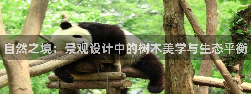 卧龙娱乐属于什么行业:自然之境:景观设计中的树木美学与生态平衡