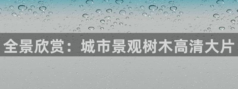 hr娱乐 卧龙招商60447:全景欣赏:城市景观树木高清大片