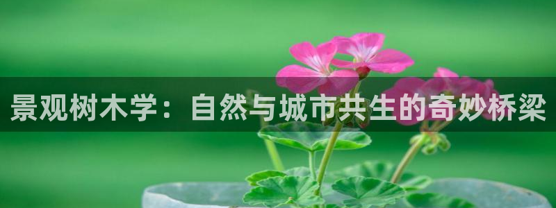 卧龙吟娱乐玩法:景观树木学:自然与城市共生的奇妙桥梁